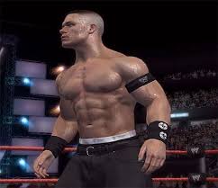 wwe raw vs smackdown 2008