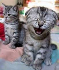 laughter therapy