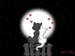 love pic