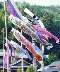 carp windsock