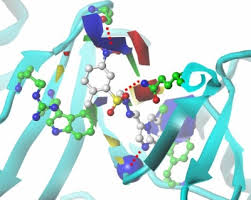 molecular modelling
