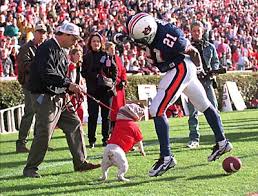 Auburn football game