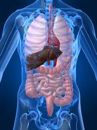 colon cleaning