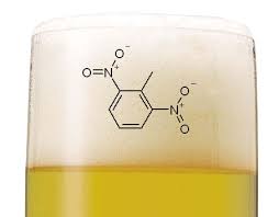 beer yeast