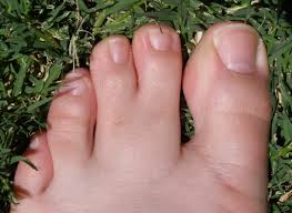 running shoes with toes