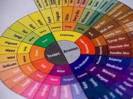 coffee flavor wheel