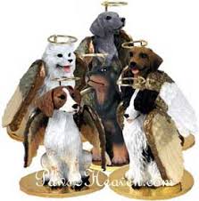angel the dog