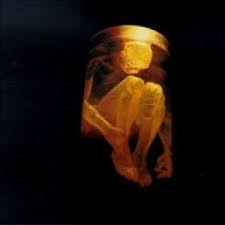 Alice In Chains - Nothing Safe-best Of The Box