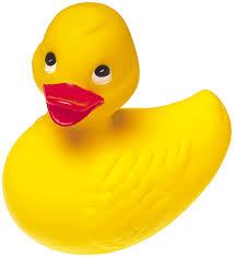 rubber duck