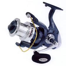 fish reel