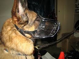 dog basket muzzles