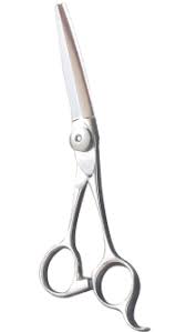 dressing scissors