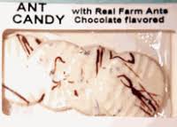 chocolate covered insects