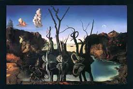 dali swans