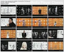 Tom Jones & The Cardigans - Burning Down The House