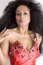 up of Dianas fans which