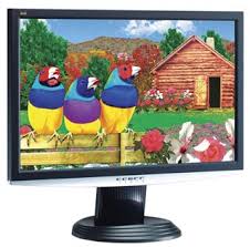 viewsonic 19 lcd monitors