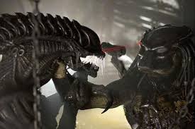 aliens vs predator book