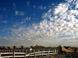 buttermilk sky
