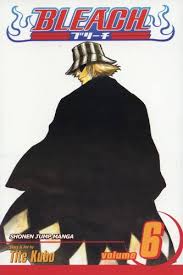 bleach volume 6