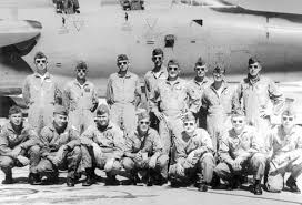 wild weasel