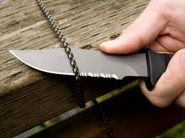 sog pup