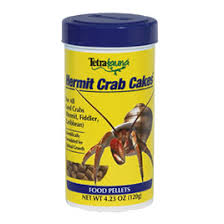 hermit crab diet