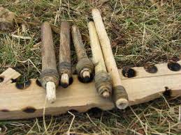 primitive technology