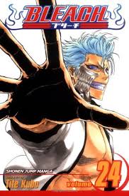 bleach vol 24