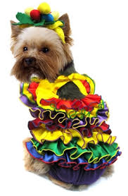 carmen dog