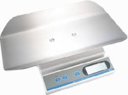 cat weight scale