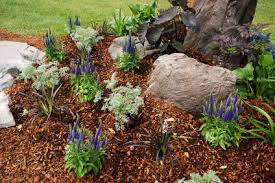 mulch dye