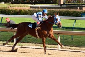secretariat film