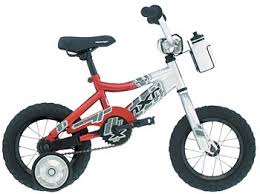 bicycle training wheel