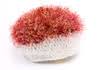 mohair hat