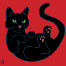 black cat shirt