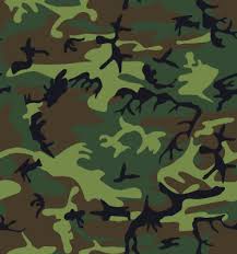 camouflage pictures