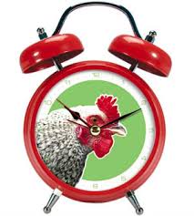 chicken alarm clocks