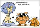 humorous birthday greetings