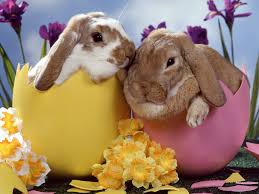 easter pics