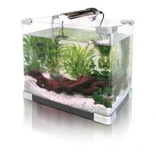 aquarium light hoods