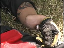 fmx crash