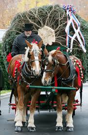 christmas in the white house