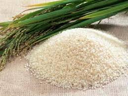 basmati rice india