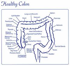 hydro colon therapy