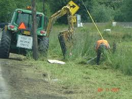 vegetation management