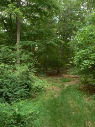 hartsdale ny white pages