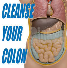 cleansing bowel