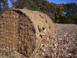 bale blind