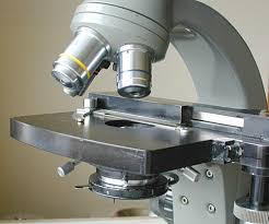 microscope slide holders